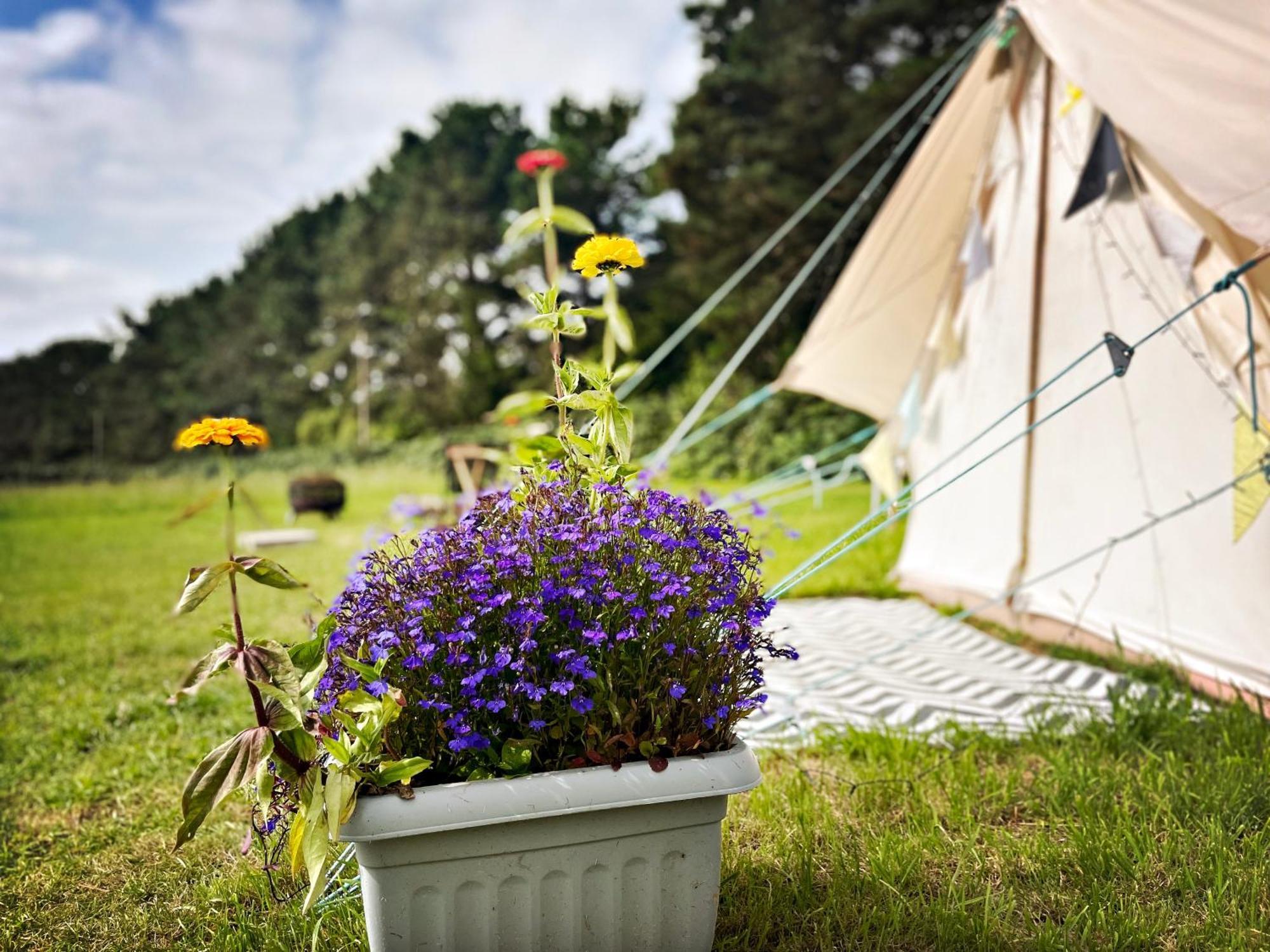 Trevena Cross Glamping & Camping هيلستون المظهر الخارجي الصورة