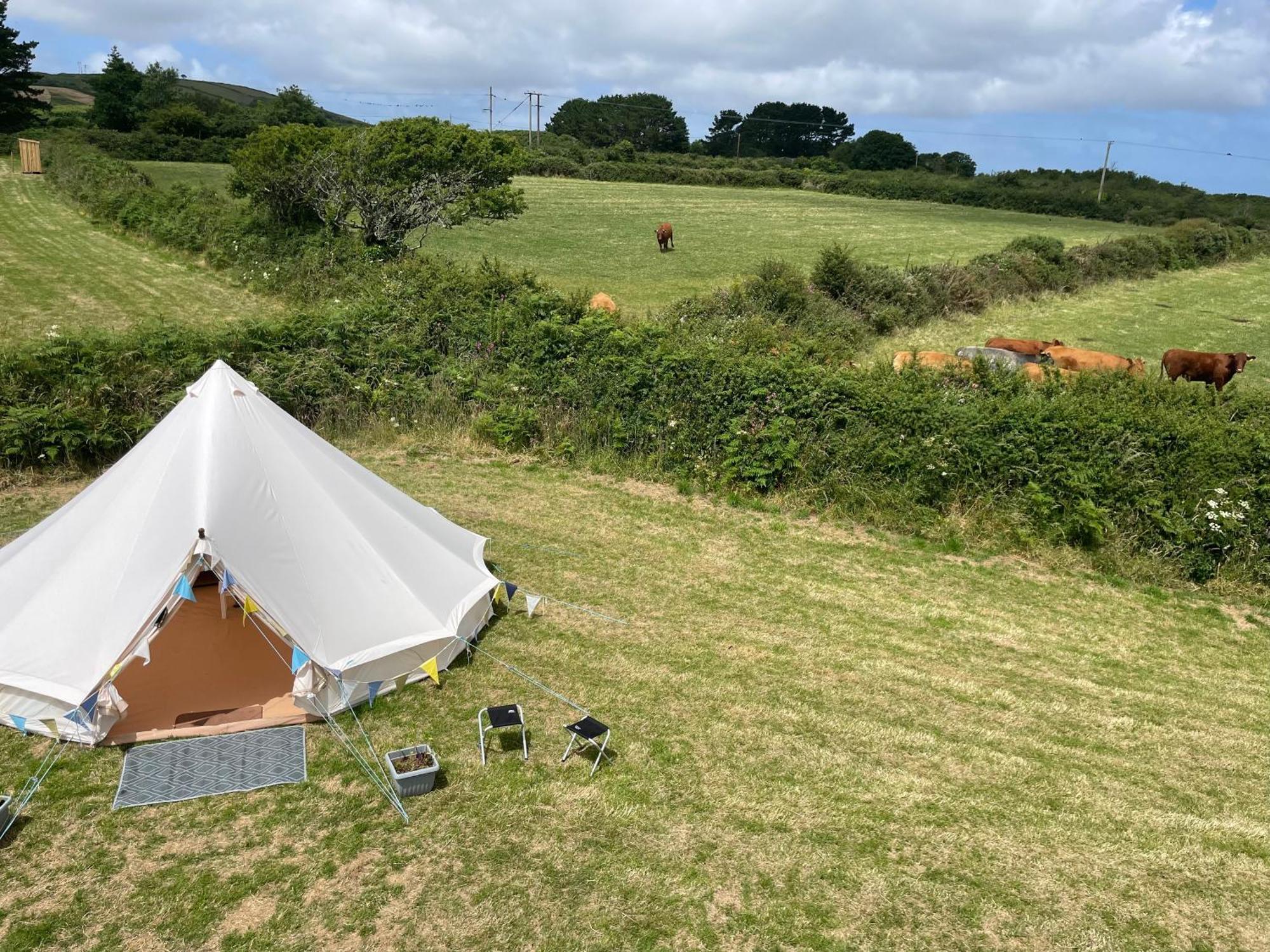 Trevena Cross Glamping & Camping هيلستون المظهر الخارجي الصورة